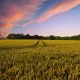 countryside-2326787_1920-1